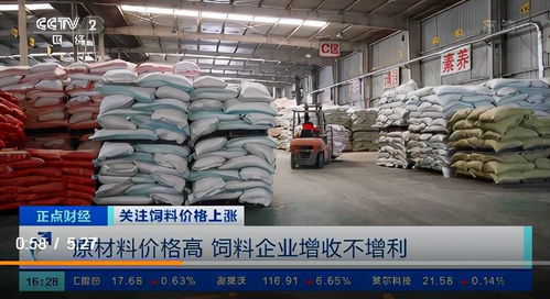 飼料價格上漲的連鎖反應 養(yǎng)殖戶虧損加劇，企業(yè)利潤承壓