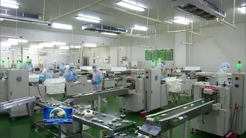 河南多措并舉促返崗助企業復工復產 保就業大局穩定與飼料生產保障