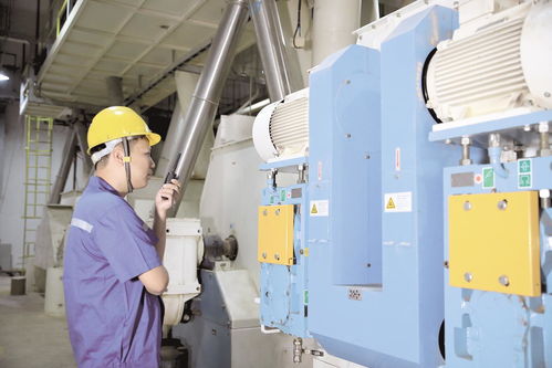 天門飼料企業 辟蹊徑，克時艱，穩中求進促增長