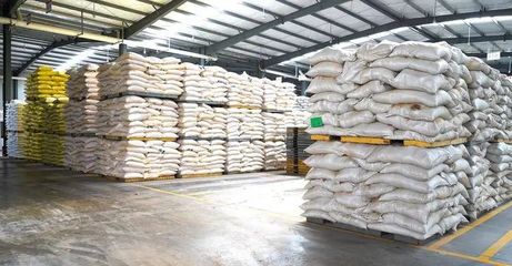 奮戰(zhàn)“開(kāi)門紅” | 隨州正大 產(chǎn)銷兩旺干勁足，跑出新春“加速度”