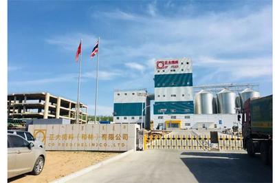 正大飼料 專業(yè)養(yǎng)豬飼料的生產(chǎn)之道